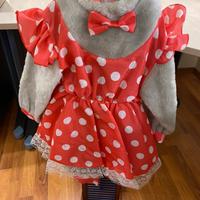 Lotto costumi carnevale bimbi