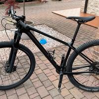 Mtb Focus Raven 29