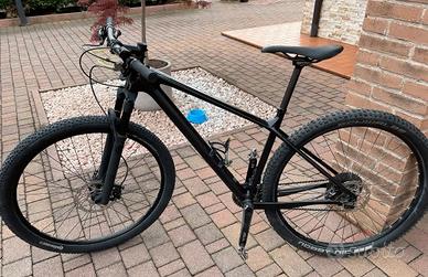 Mtb Focus Raven 29