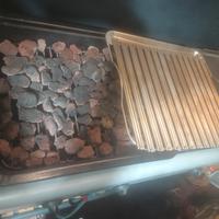 barbecue a gas e carbone