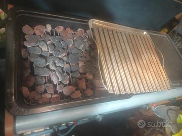 barbecue a gas e carbone