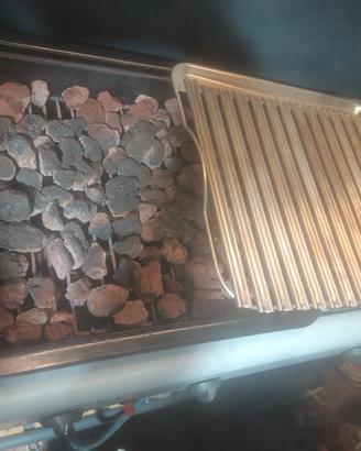 barbecue a gas e carbone