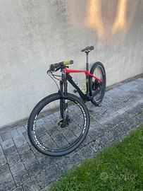 Mountain Bike (carbon)