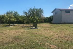 Capannone adibito ad officina