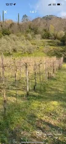 Terreno Agricolo Castelnuovo Magra