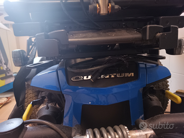 Sedia a rotelle elettrica