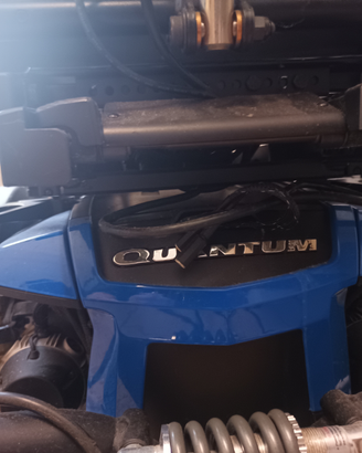 Sedia a rotelle elettrica