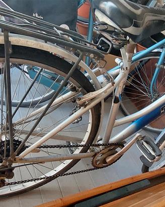 Bicicletta da donna con cestino