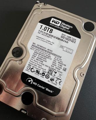 WD Black Performance Desktop Hard Disk Drive da 1