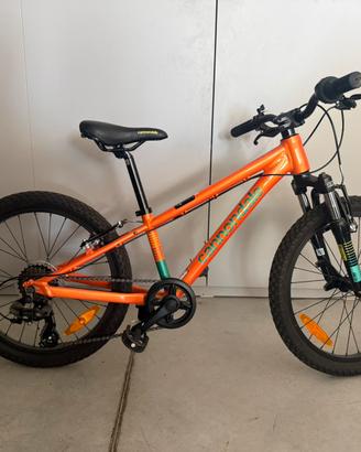 Bici bimbo cannondale mis 20