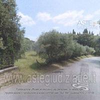 Terreno Agricolo Siena [A4344019]