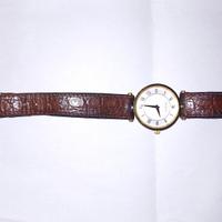 orologio gucci cinturino cayman