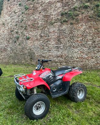 Quad Polaris trail boss 330