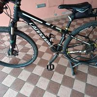 Cannondale front