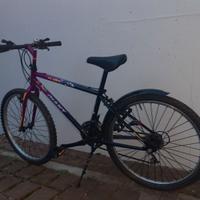 Mountain bike Giant, ruote da 24 '