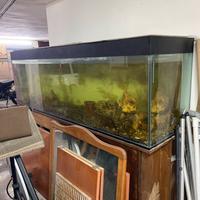 Acquario 600 litri