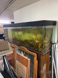 Acquario 600 litri