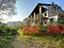 Immagine 13