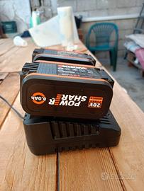 batterie worx con caricabatterie 