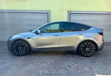 TESLA MODEL Y PERFORMANCE