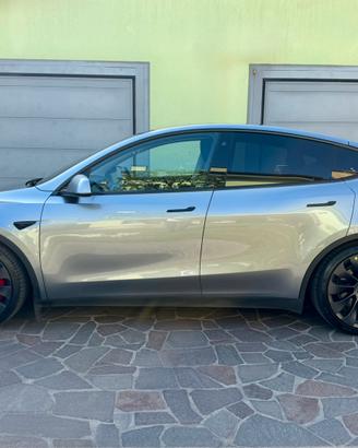 TESLA MODEL Y PERFORMANCE