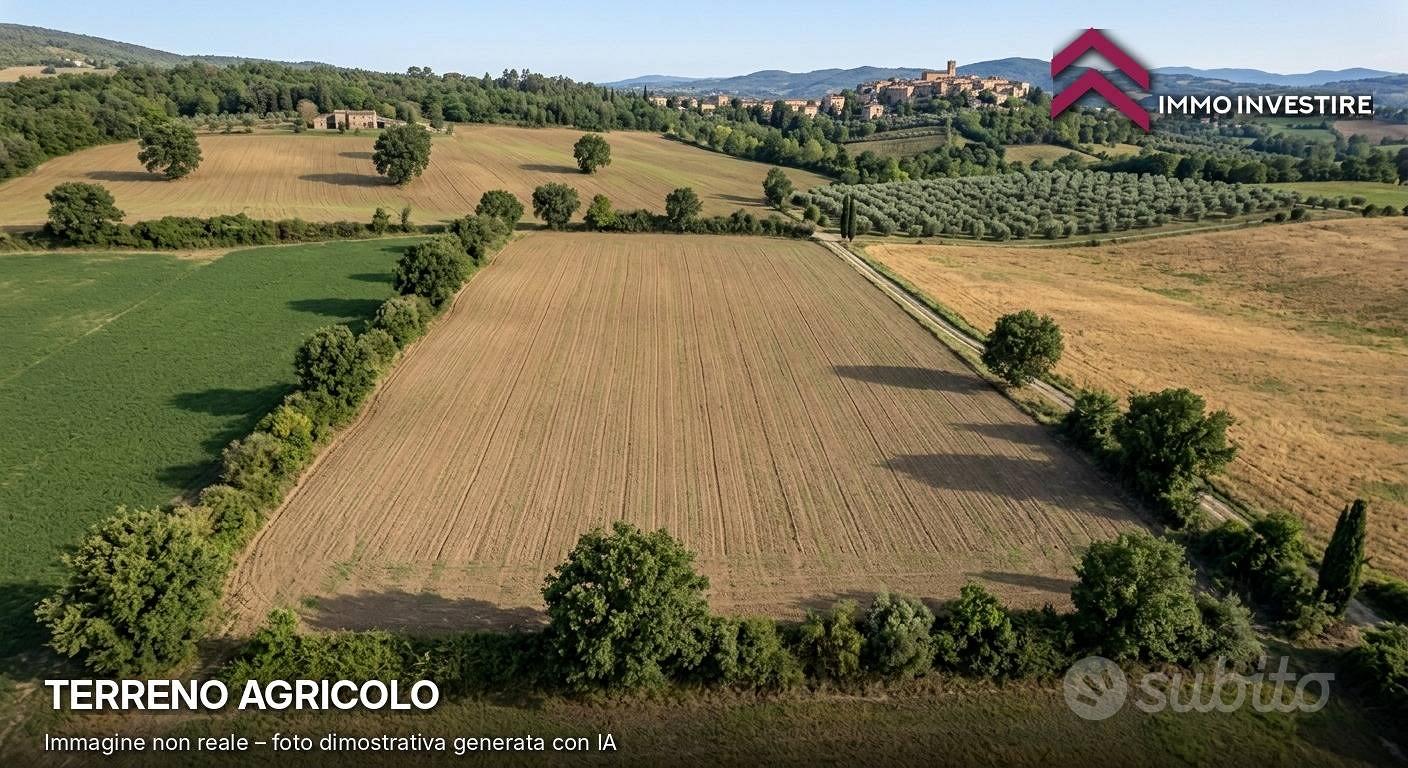 Terreno Agricolo - San Vincenzo - Vista 2