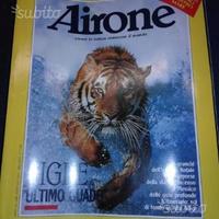 Airone