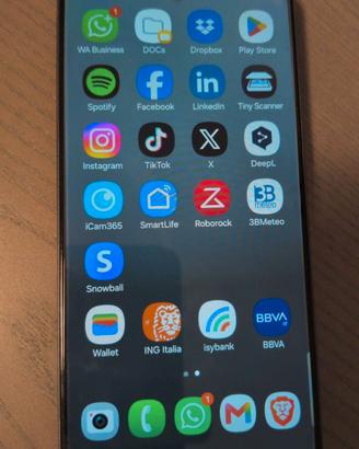 Samsung S21 FE (Danneggiato) + Cover e pellicola