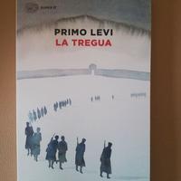 libro di storia guerra mondiale