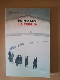 libro di storia guerra mondiale