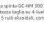 Immagine 4