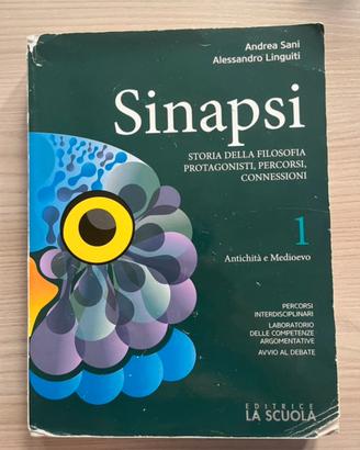 Sinapsi 1, Antichità e Medioevo