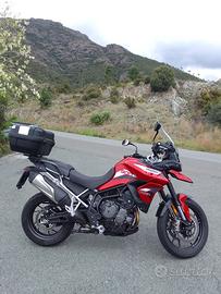 Triumph Tiger 900 Gt