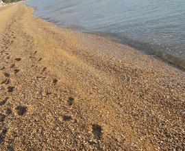 Nuovo Appartamento- Seconda Fila- Spiaggia Inclusa