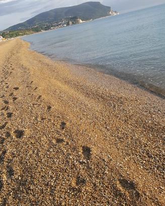 Nuovo Appartamento Seconda Fila - Spiaggia Inclusa
