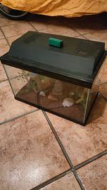 acquario + accessori