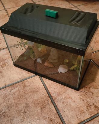 acquario + accessori