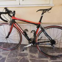 Bicicletta da corsa Torpado Dominio