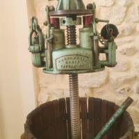 torchio (presa da uva)