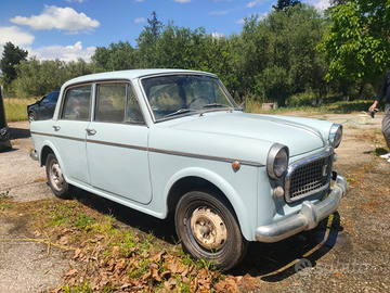 Fiat 1100 Special