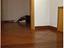 Immagine 17