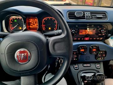 fiat panda