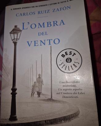 L'ombra Del Vento di Carlos Ruiz Zagon