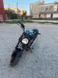 lem bruts 110