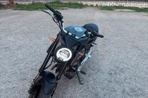 lem bruts 110