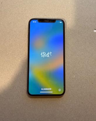 iPhone X 256 GB
