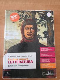 la mia nuova letteratura e la divina commedia 