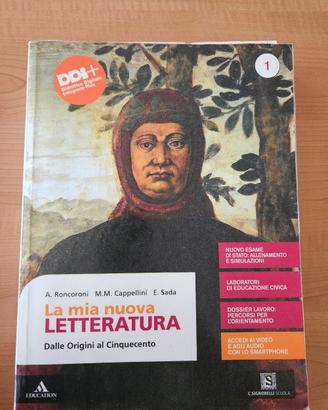 la mia nuova letteratura e la divina commedia 