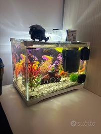 Acquario in vetro 10 litri + Coperchio con disegno