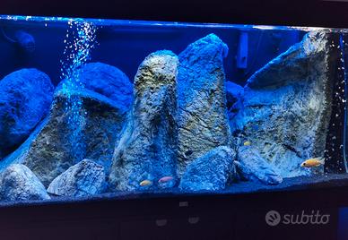 Acquario Rio 350 Juwel led